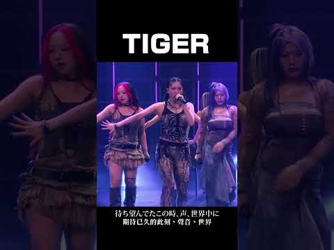 HANA TIGER Hana おすすめ オススメ Hanatiger HANA TIGER Hana おすすめ オススメ Hanatiger
