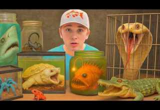 I Bought The Deadliest Animals To Keep As Pets
