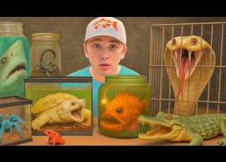 I Bought The Deadliest Animals To Keep As Pets