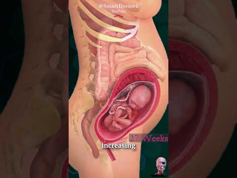 معجزة الولادة