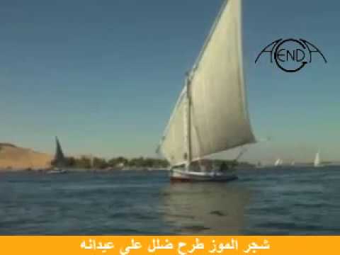 نعناع الجنينة كاملة