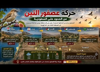  حركة عصفور التين من الحدود السورية للسعودية