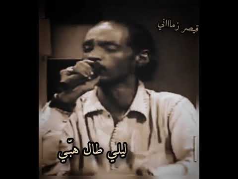 محمود عبد العزيز حكم حبي