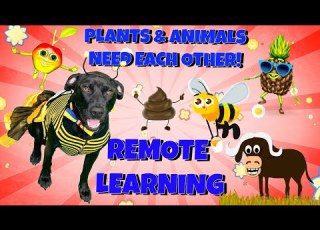 Plants And Animals Need Each Other Remote Learning With Diggy Dog Pollination And More