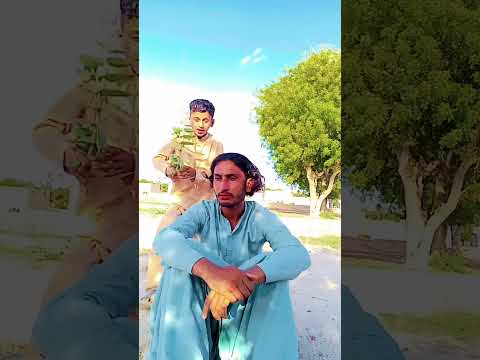 Have You Ever Got This Birthday Gift 2026