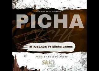 Mtublack Ft Ellisha James Picha