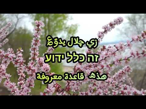 بسوف شفوع يوم رفكيم יום הרווקים كاملة مترجمة للعربية