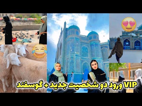 رفتیم شاه دو شمیشره به روی تصویر آمدن خواهرهایم و گوسفند Vip