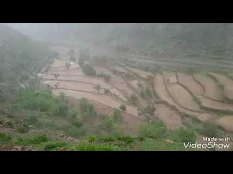 وادي الضباب للفنان الكبير أيوب طارش وادي الضباب للفنان الكبير أيوب طارش