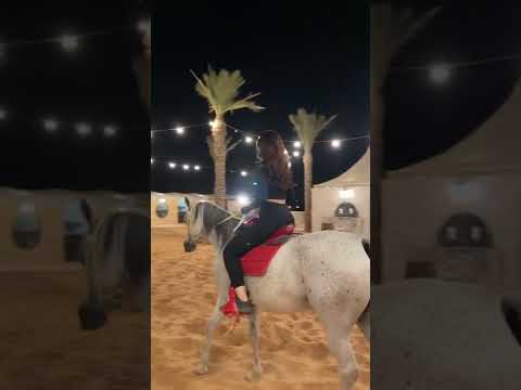 فرس فرس من حسنها الحسن انخرس