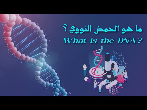 ما هو الحمض النووي DNA وما أهميته
