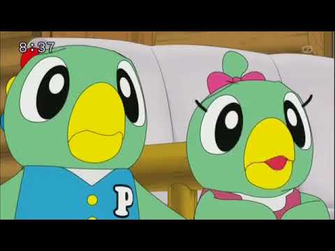 しまじろうのわお まつりだ にいちゃん 20170722