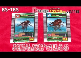  ムシキング編 リアルな甲虫のカードと白熱のバトルで大ヒットも5年で稼働停止に その光と闇を紐解く X年後の関係者たち 1 27 月 夜11時