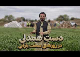 یک روز بارانی در ولسوالی دهدادی ولایت بلخ