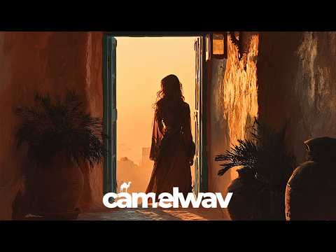 Tamer ElDerini Wael Anwar Ablozé Misirlo