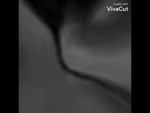 حبيبتي يا مصر