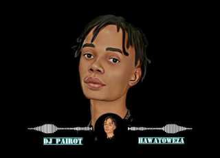 Beat Kali Kutoka Kwa Dj Pailoti Nicheki WhatsApp No 0695004392 Call 0695004392