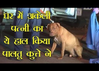 घर म पत न और क त त क अक ल छ ड गय थ पत घर ल ट त ह श उड गए