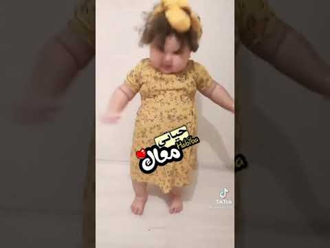سيبو سيبو يا حامد