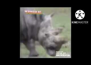 All Preview 2 Animols And Friends Deepfakes