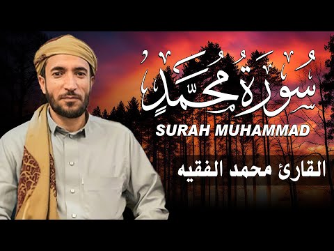 سورة محمد كاملة مكتوبة للقارئ الشيخ محمد الفقيه تلاوة خاشعة ومؤثرة