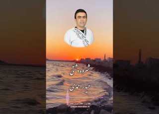 شروه دل سوز دشتی قسمت ۱۲ اجرای استاد حیدر احمدی با اشعار فایز اشک های جنوب شروه Shortvideo