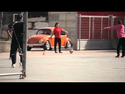 Tigers Of Palestine Palestine نمور فلسطين شغف وإصرار لا حدود لهما Tigers Of Palestine Palestine نمور فلسطين شغف وإصرار لا حدود لهما