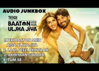 Teri Baaton Mein Aisa Uljha Jiya Songs Teribaatonmeinaisauljhajiya Audiojukebox Shahid Albumsong