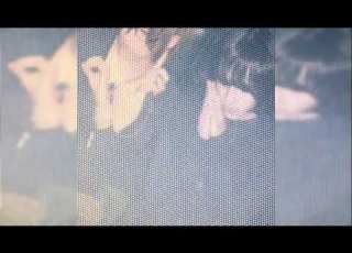 Kuru Two Prod Ksuuvi Bbuggin