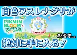 Pikmin Bloom You Re Guaranteed To Get White Forget Me Nots Pikmin Bloom