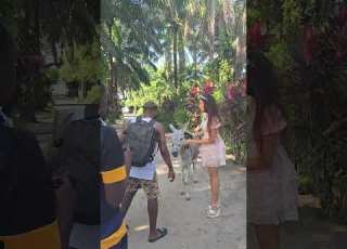 راندايسا نايجاسنجر بي تي اس يريا