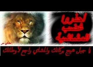  المشاشية اسود الجبل