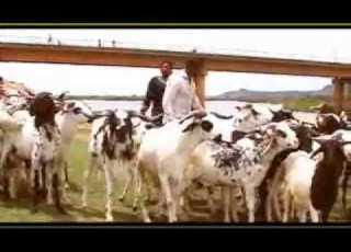 MOCTAR ALBUM BARKA DA SALLAH 2012 Flv