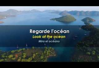 Desireless Voyage Voyage English And French Subtitles