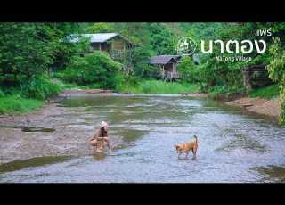  หม บ านล บกลางห บเขาท เวลาเด นช าลง ใช ช ว ตร มสายน ำท นาตอง แพร EP 179