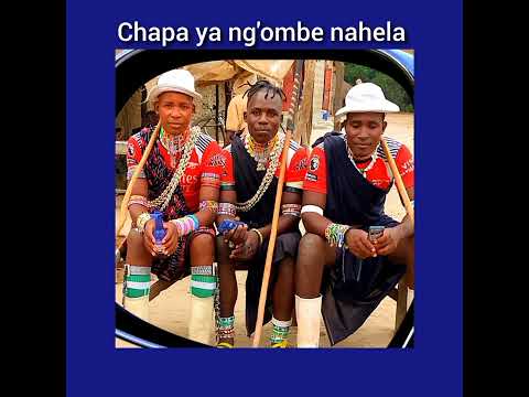 Chapa Ya Ng Ombe Nahela Ft Bhulembo Bhonziku Ujumbe Wa Sai 0784701139