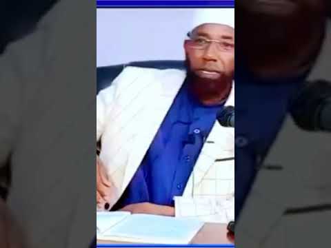 Shek Amin Ibro Ableen Firra Hin Dhaabbatin