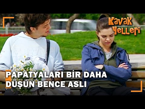 Senin Üzülmene Değmez Kavak Yelleri 45 Bölüm