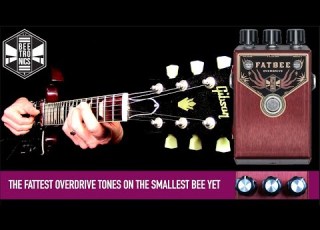 Beetronics Fatbee