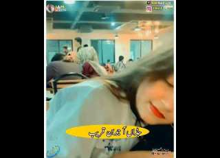 Bashir Hayat Chaner New Saraiki Song WhatsApp Status HD With Liryic