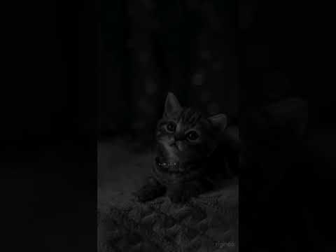 ستوريات دينيه حالات واتس اب دينيه اسلاميه جديده