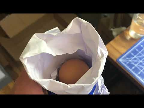 Egg Drop Test Technics ARCH 131 Professor Wang