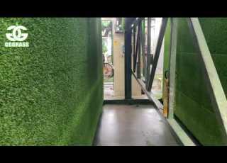  Grass