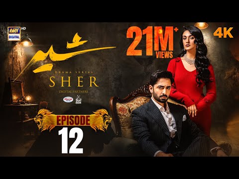 Sher Episode 12 Danish Taimoor Sarah Khan 26 June 2025 ENG SUB ARY Digital Drama