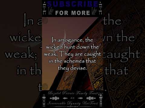 Daily Zabur 015 Shorts