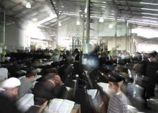 הרועה הנאמן