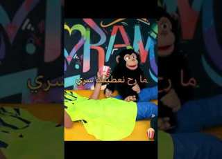 YOUPPI X YOUPPI MALADIE LYRICS