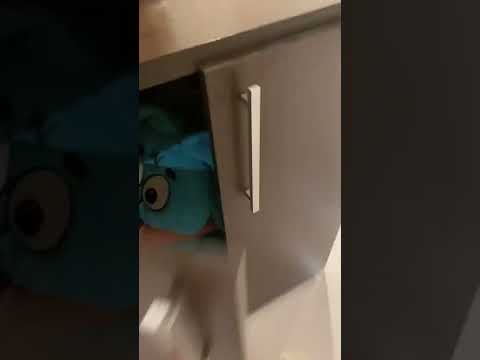 O Namorado Da Minha Vizinha