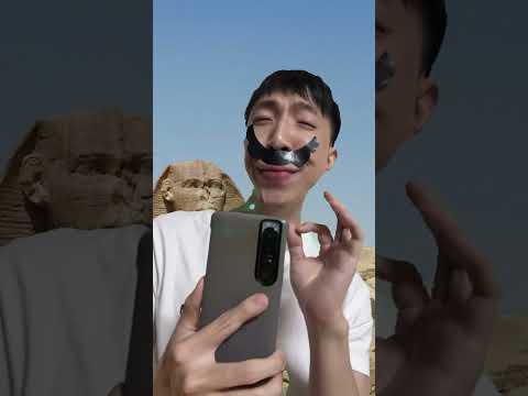 Let Me Help Bro Take Photos Of Traveling In The Egypt Pyramids Shorts