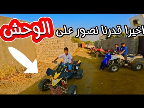 دبابات فلوق ملخبط تصوير يحيى